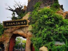 -大槐树寻根祭祖园
