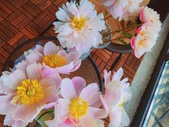 -盒马X会员店(上海森兰商都店)