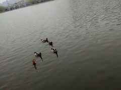 -西安市长乐公园