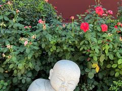 -天津大悲禅院