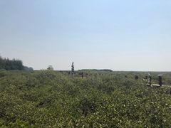 -北海金海湾红树林生态旅游区