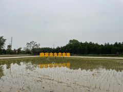 -迪茵湖田家舍生态农场