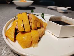 白斩散养鸡-绿波廊(豫园店)