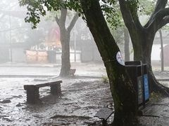 -上海佘山国家森林公园天马山园