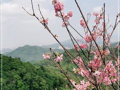 -广州市白云山风景名胜区