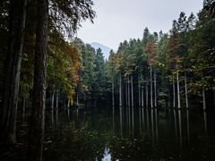 -波尔登森林公园
