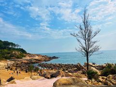 -广东惠东海龟国家级自然保护区