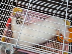 -乐宠宠物店(世纪金源店)