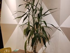 -新华里咖啡书吧(新华书店小寨店)