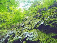 -鹿院坪生态旅游景区