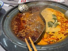 -生活如沸·顺德水牛奶火锅(大学路店)