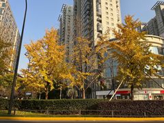 -全家便利店(虹井路店)