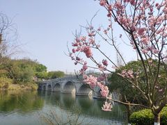 -重庆园博园