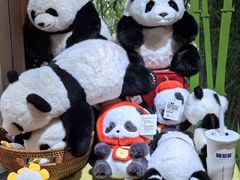 -轩客会(熊猫书店)