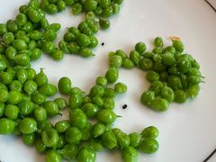 -子福慧(虹桥店)