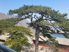 -妙峰山风景名胜区