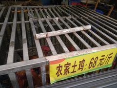 -老幺泉水鸡