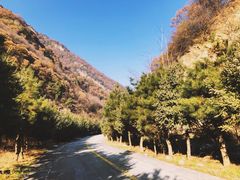 -少华山国家森林公园