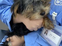 -宠颐生动物医院·小陆分院