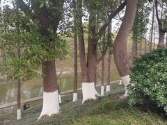 -双山岛