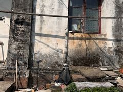 -丝绸小镇荻港古村