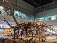 -自贡恐龙博物馆