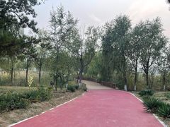 -绿堤公园