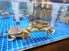 面包蟹-七鲜超市(通州ONE店)