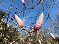 -大兴滨河森林公园