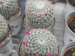 -鹿岛生活(熙地港店)