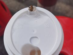 -熊腊生热干面馆(宝丰店)