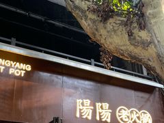 -阳阳老火锅(小南门店)