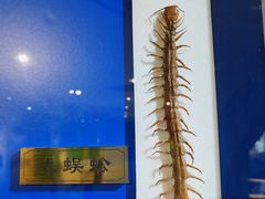 -上海昆虫博物馆