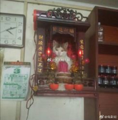 -厦门美莱整形美容医院