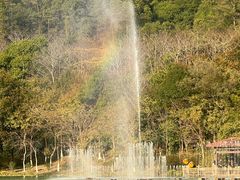 -广州白江湖森林公园