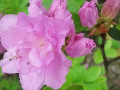 -上海植物园·停车场