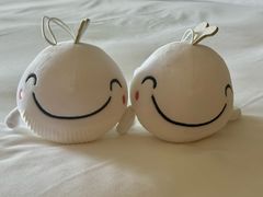 -三亚亚特兰蒂斯度假区