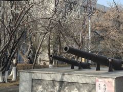 -桃花堤公园