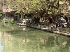 -小洲村