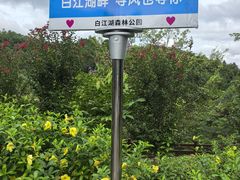 -广州白江湖森林公园