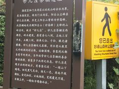 -阳台山自然风景区