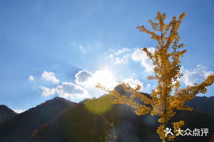 丹东天桥沟景区图片