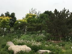 -东郊湿地公园