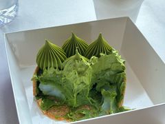 -猫里有甜