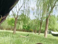 -永定河休闲森林公园