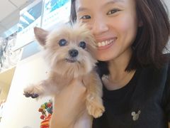 -PETKIT 小佩宠物·低压洗护·美容·寄养(安远店)