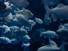 -多彩贵州城极地海洋世界