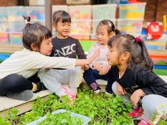 -高娃幼儿园