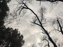 -杭州城北体育公园