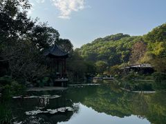 -云溪植物园